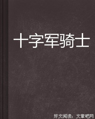 十字军的故事（全四册）读后感1000字