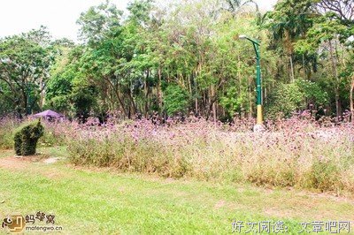《爱在月多一也们夫月》的句子