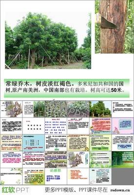 木心经典的句子