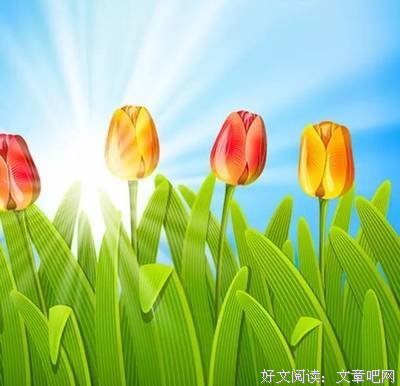 关于伪装坚强的优美句子