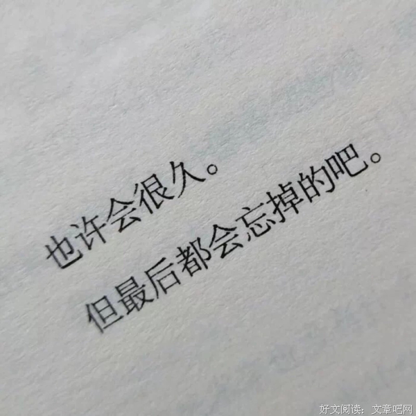 《何必怀念》名句欣赏