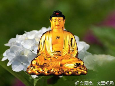 最经典的《佛弟子网》经典的句子