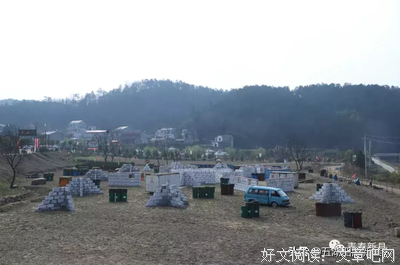 《相约青春》经典影评1000字
