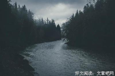 《对话博尔赫斯》读后感锦集
