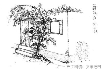 《慢走哦，小时光》读后感摘抄