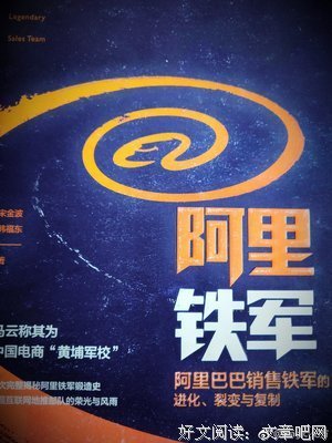 《阿里铁军》读后感锦集