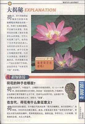 记忆裂痕的读后感大全