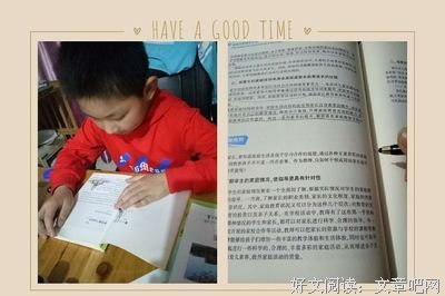 《血缘与归属》读后感100字