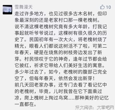 《爱的进化论》的读后感大全