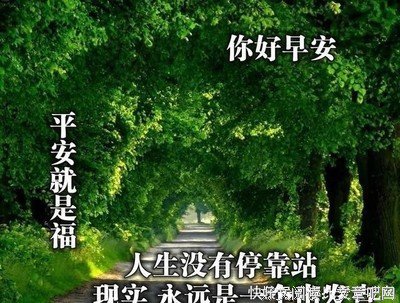 夜不能寐的语句摘抄_关于夜不能寐的语句