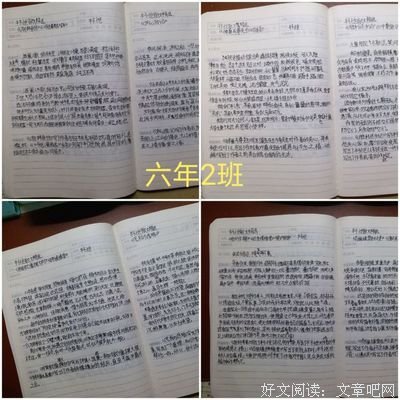 鲁迅文学全集读后感摘抄