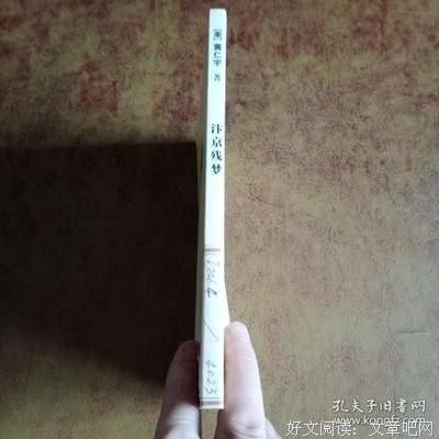 《汴京残梦》读后感1000字