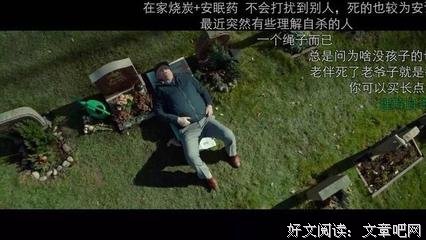《肥猫坐在什么上？》读后感1000字