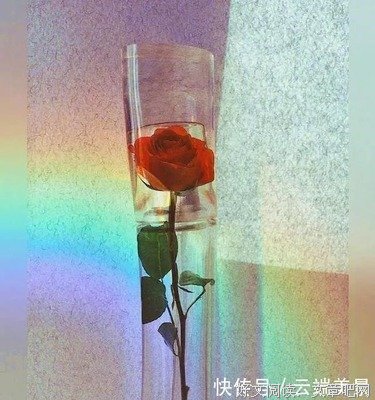 心灵句子大全