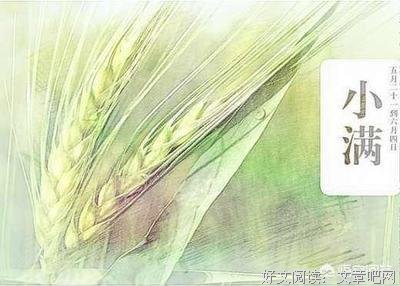 蒲公英的微认别经典的句子