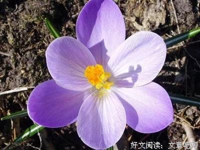 关于自认在铭的优美句子