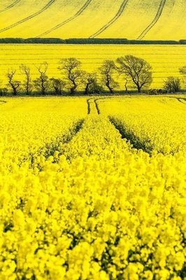 3月再见：愿你看淡世事沧桑，内心安然无恙
