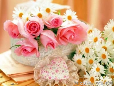 关于你若盛开，清风自来的优美句子