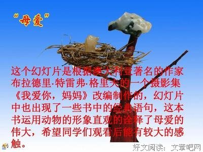 关于我爱你句子大全