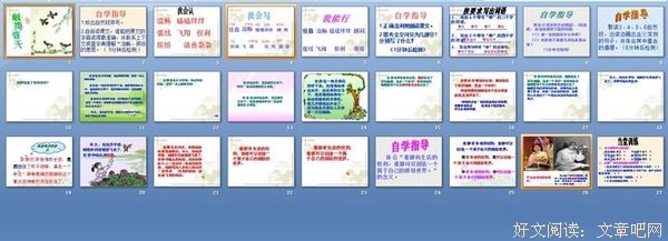 关于词汇的花海的优美句子