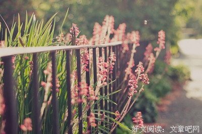 缘来缘去优美的句子