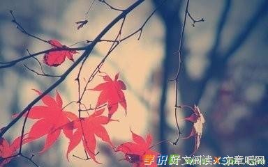 瞬间 永恒的优美句子