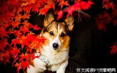关于回不去的小时候的优美句子
