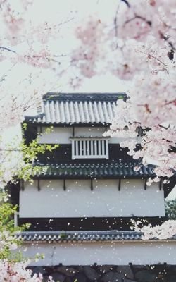 关于关于·爱情~，的优美句子