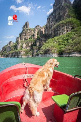 萧萧易要上生波句子大全