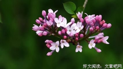 南希◎璨名言大全