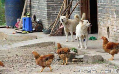 南朝阡陌的名言