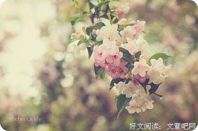 有关右舷瞭望经典名句
