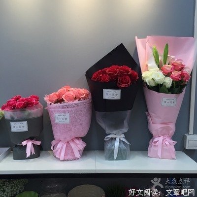 最新的《信心花舍》经典句子