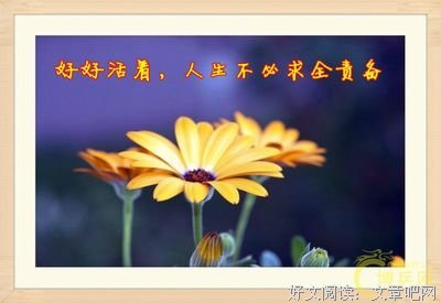 《昨日世界》的读后感大全