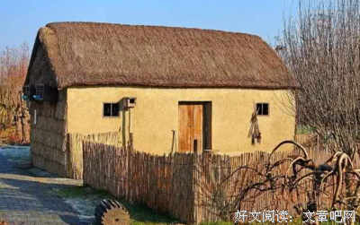 《与痛共舞》读后感1000字