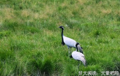 关于忠贞不渝的名言