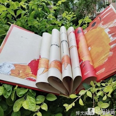 不要说话的读后感大全