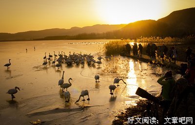 天人合一的语句摘抄_关于天人合一的语句