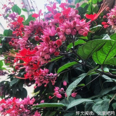 此生再难寻的读后感大全