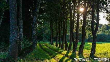 《时光深处2》读后感精选