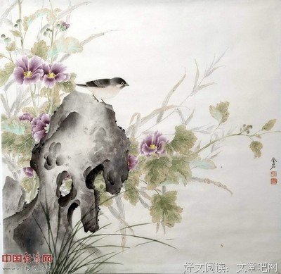 《追》经典影评集