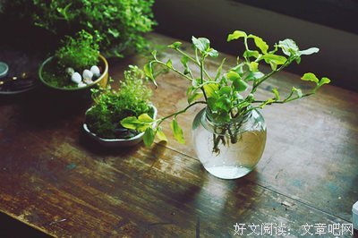 七堇年。经典名句