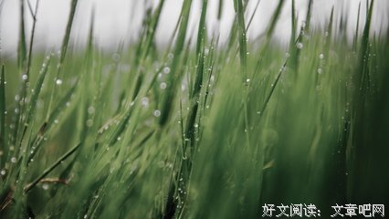 关于不吵不闹的句子