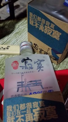 了格亿种孤独。经典的句子