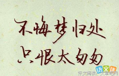 关于青春、的句子