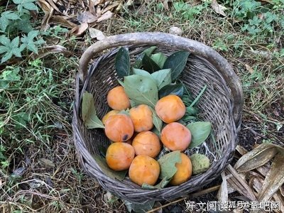 人最怕，掏出一颗心， 回来一把刀