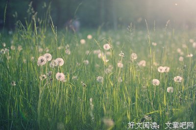 关于动人心弦的的句子