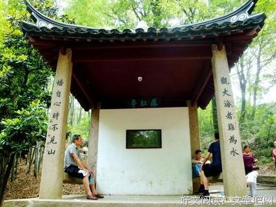 关于落花随风扬的句子