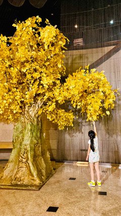 晓雪句子