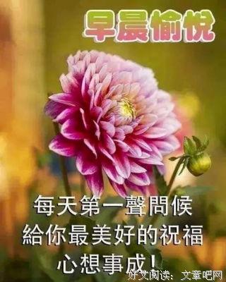 甘露的优美句子